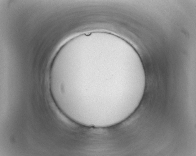 X0000115301526200911231259