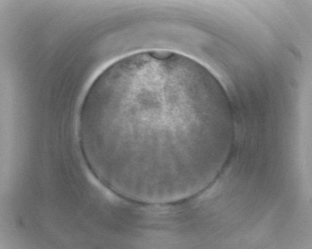 X0000115301527200911231259