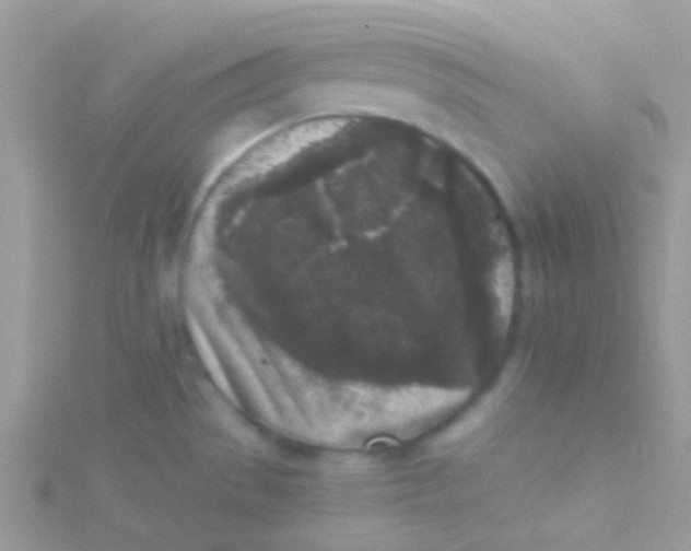 X0000115301529200911231259