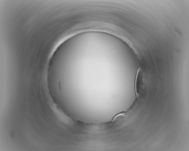 X0000115301530200911231259