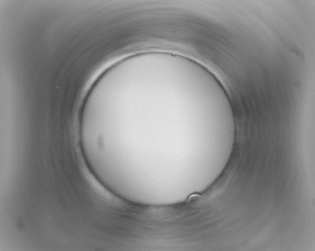 X0000115301531200911231259