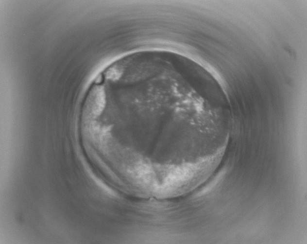 X0000115301533200911231259