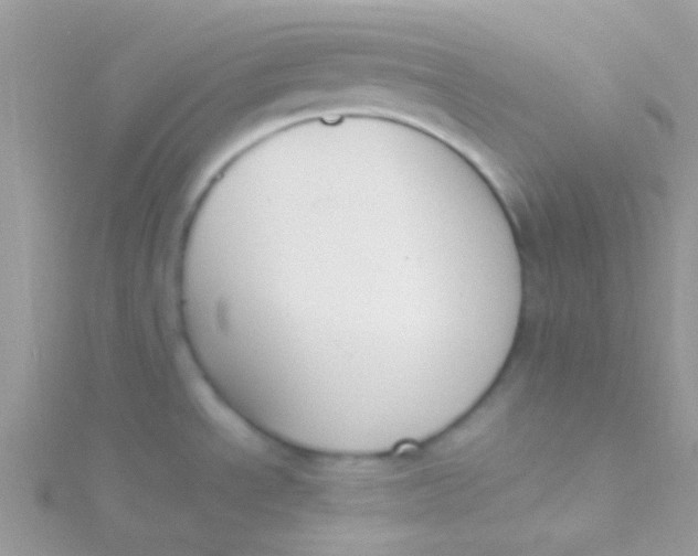 X0000115301534200911231259