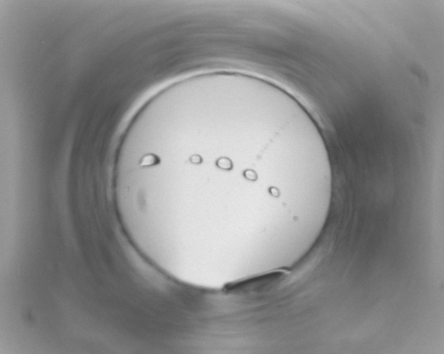 X0000115301535200911231259