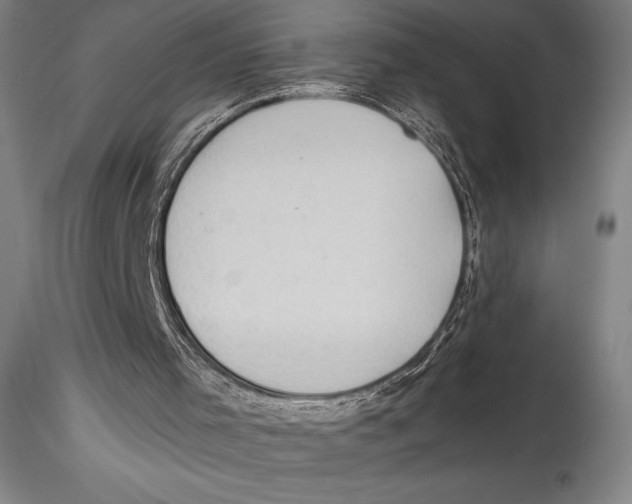 X0000115300001200911301523