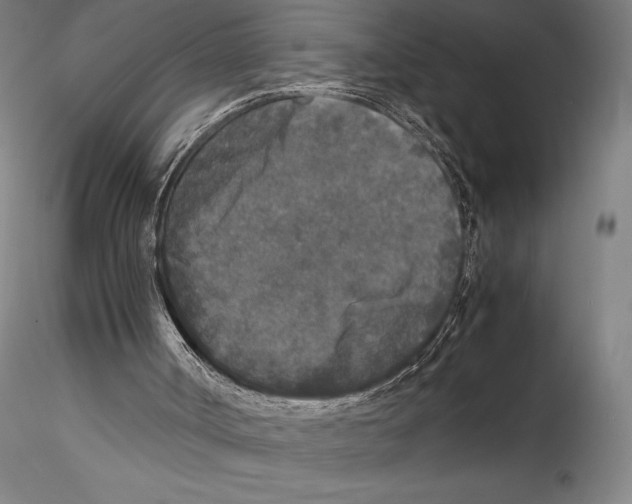 X0000115300002200911301523