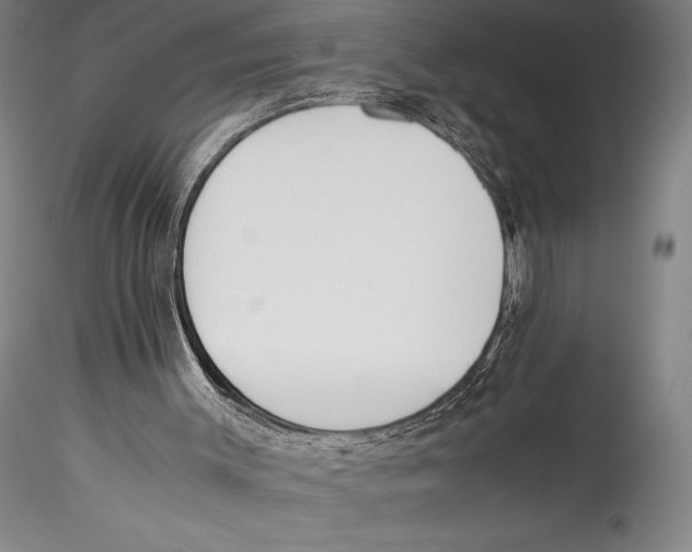 X0000115300003200911301523