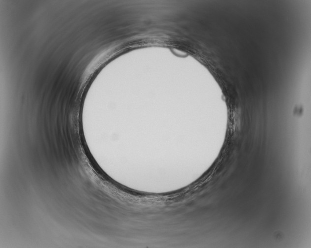 X0000115300004200911301523