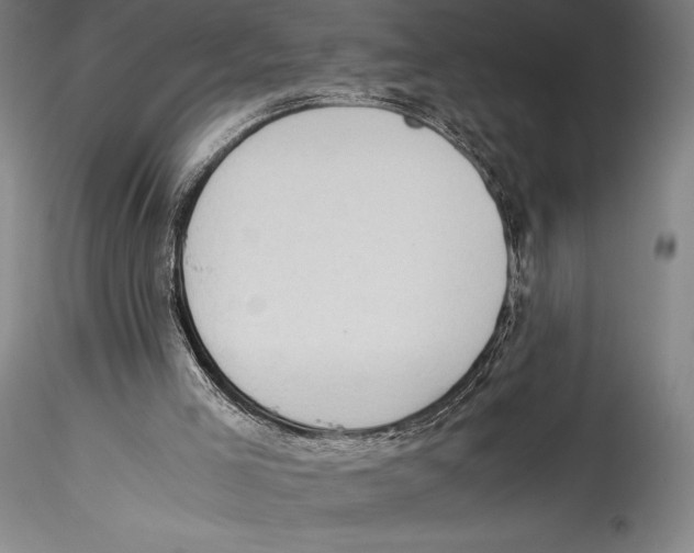 X0000115300005200911301523