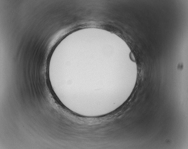 X0000115300006200911301523