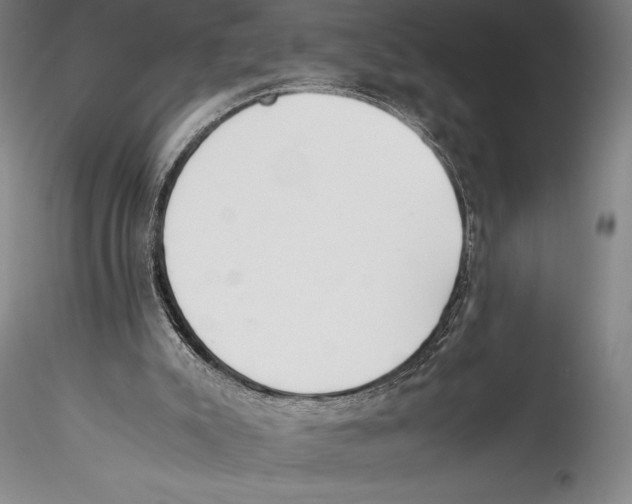 X0000115300007200911301523