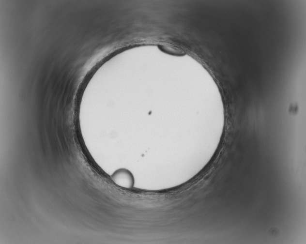 X0000115300008200911301523