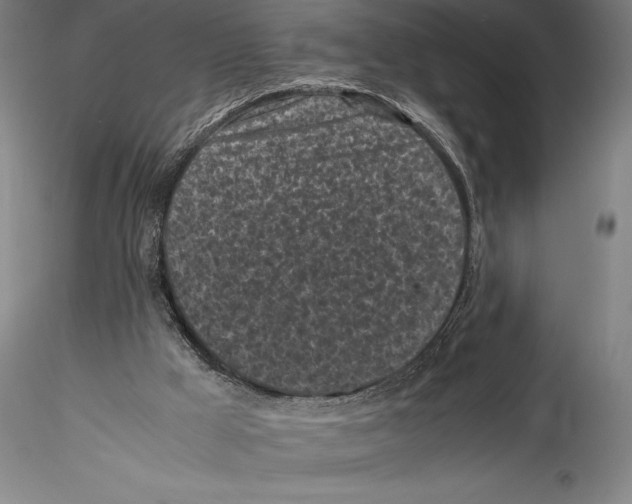 X0000115300009200911301523