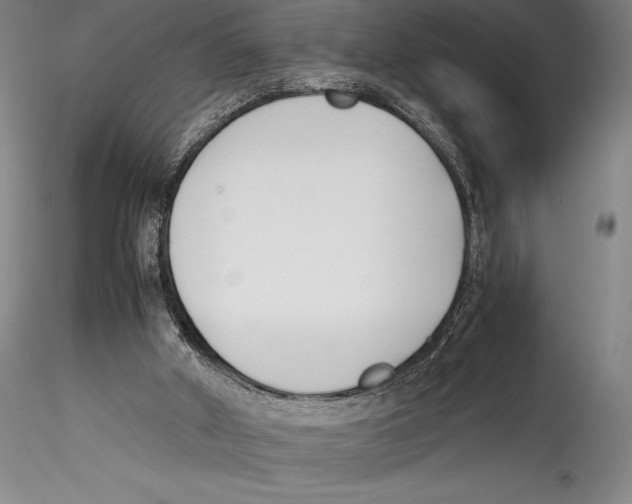 X0000115300010200911301523