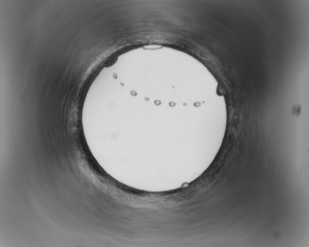 X0000115300012200911301523