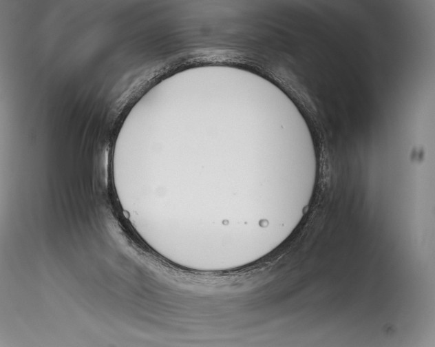 X0000115300014200911301523