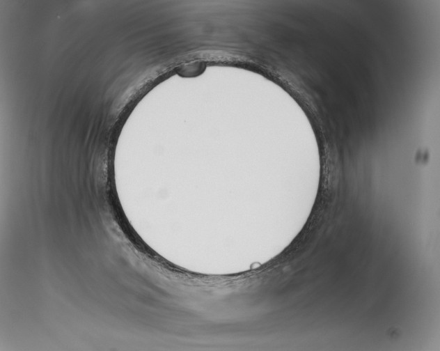 X0000115300015200911301523