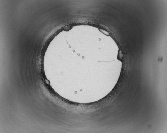 X0000115300016200911301523