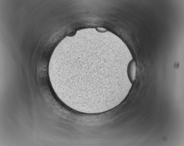 X0000115300017200911301523