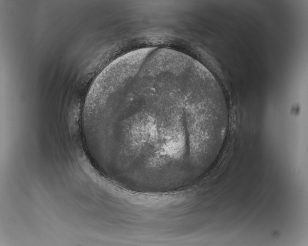 X0000115300018200911301523