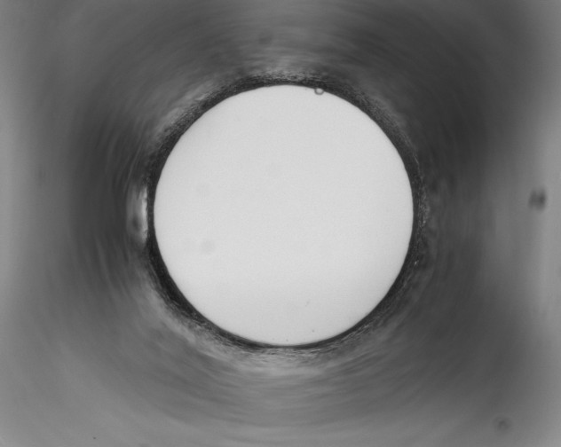 X0000115300020200911301523