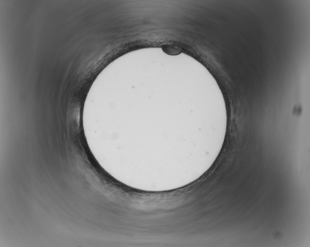 X0000115300021200911301523