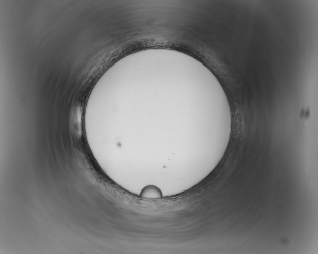 X0000115300022200911301523