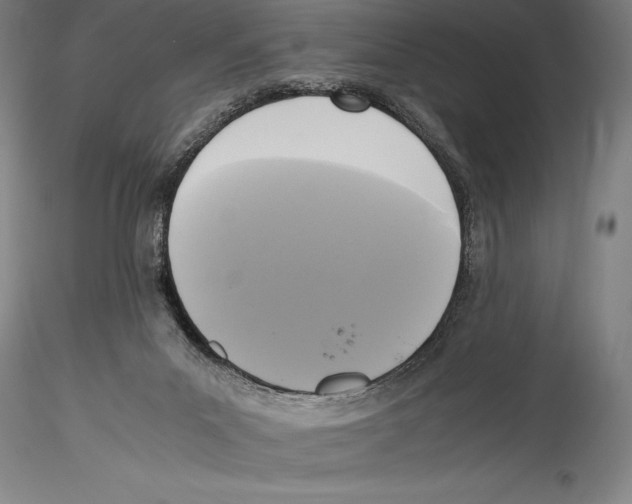 X0000115300023200911301523