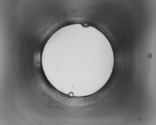 X0000115300024200911301523