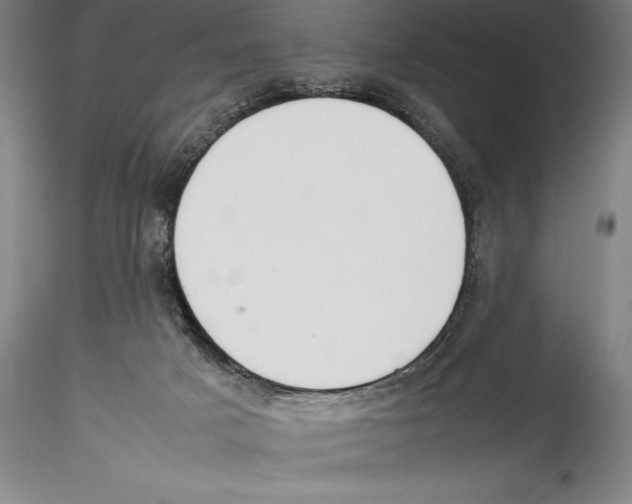 X0000115300025200911301523