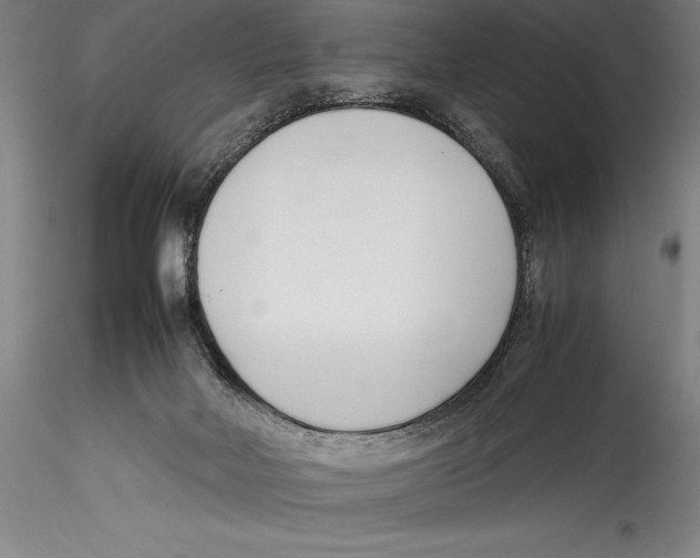 X0000115300026200911301523