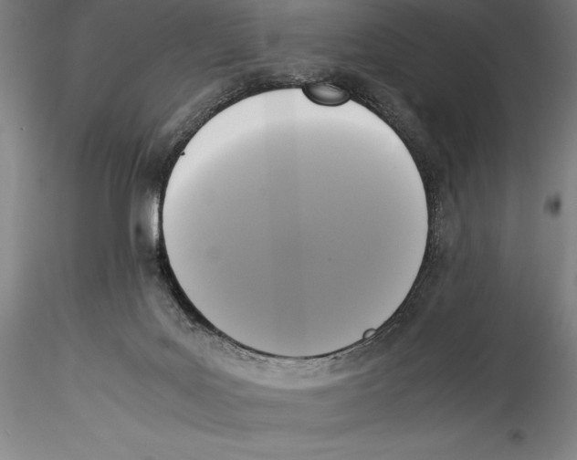 X0000115300027200911301523