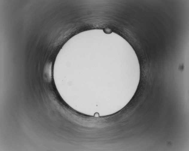 X0000115300028200911301523