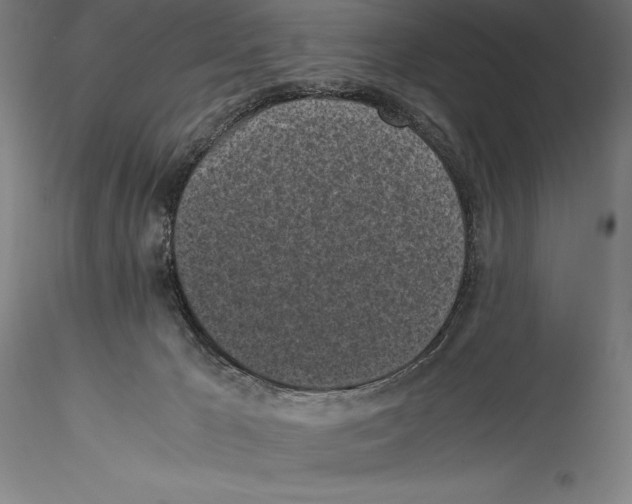 X0000115300029200911301523