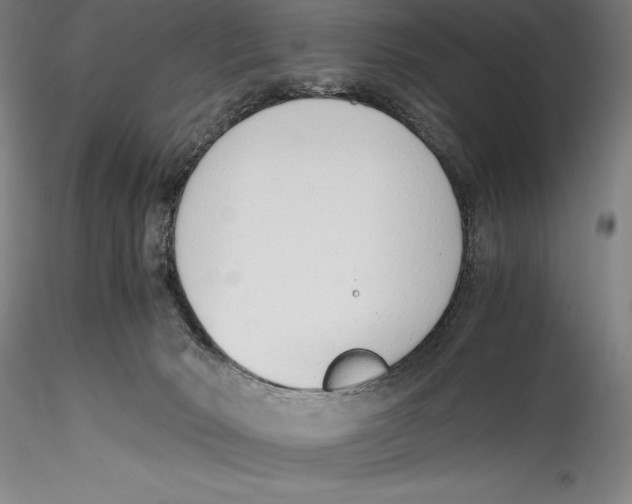 X0000115300030200911301523