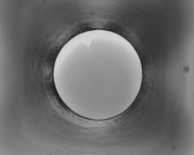 X0000115300031200911301523