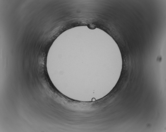 X0000115300032200911301523