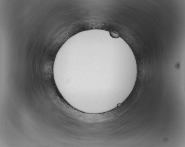 X0000115300034200911301523