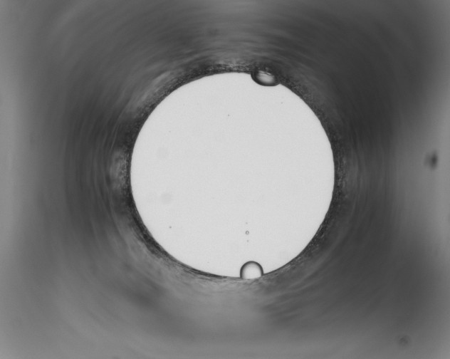 X0000115300036200911301523