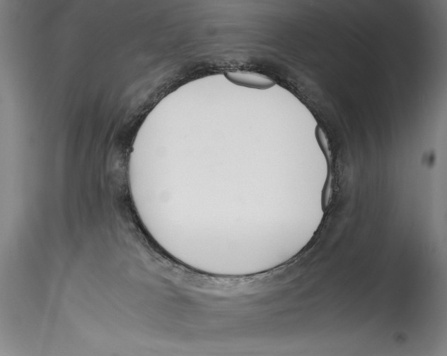 X0000115300037200911301523