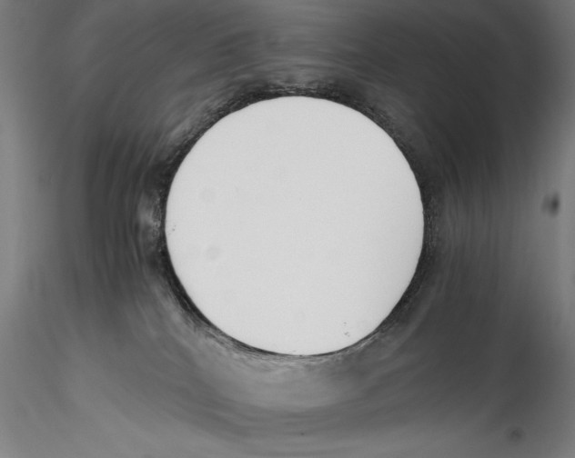 X0000115300040200911301523