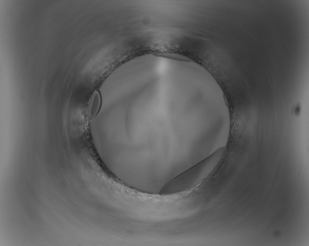 X0000115300043200911301523