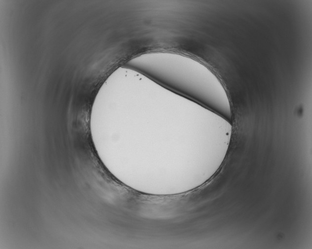 X0000115300045200911301523