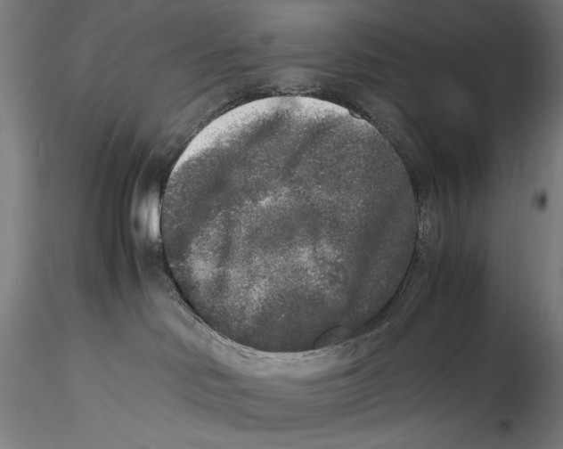 X0000115300046200911301523