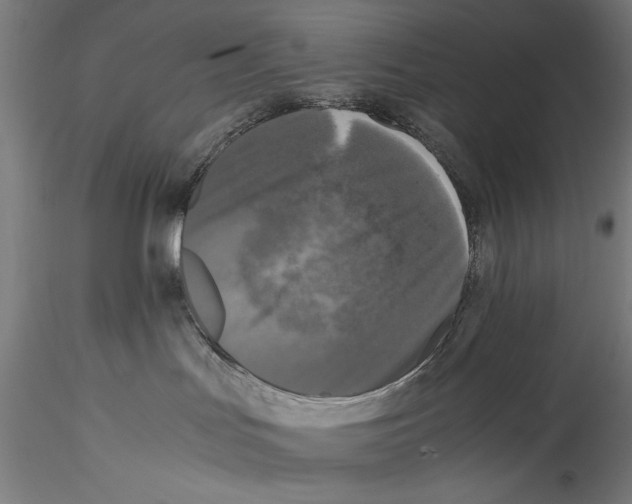 X0000115300047200911301523