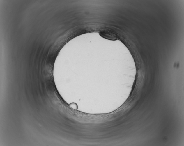 X0000115300048200911301523