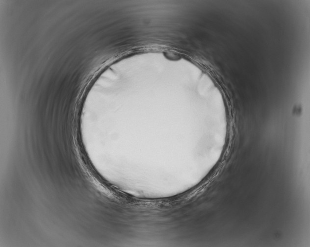 X0000115300049200911301522