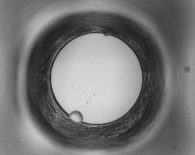 X0000115300050200911301522