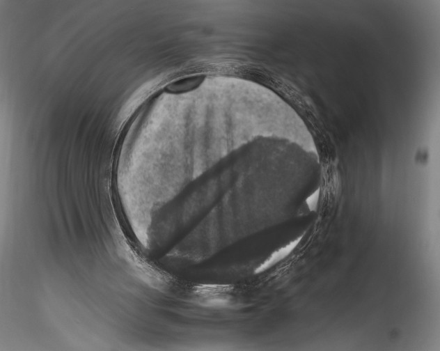 X0000115300051200911301522