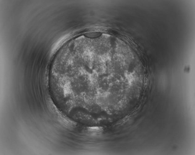 X0000115300053200911301522